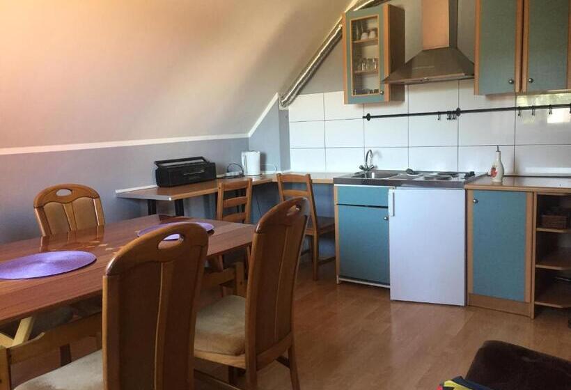 ホテル Agro Szyszynka