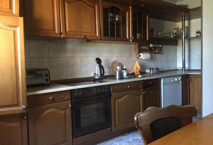 ホテル Agro Szyszynka