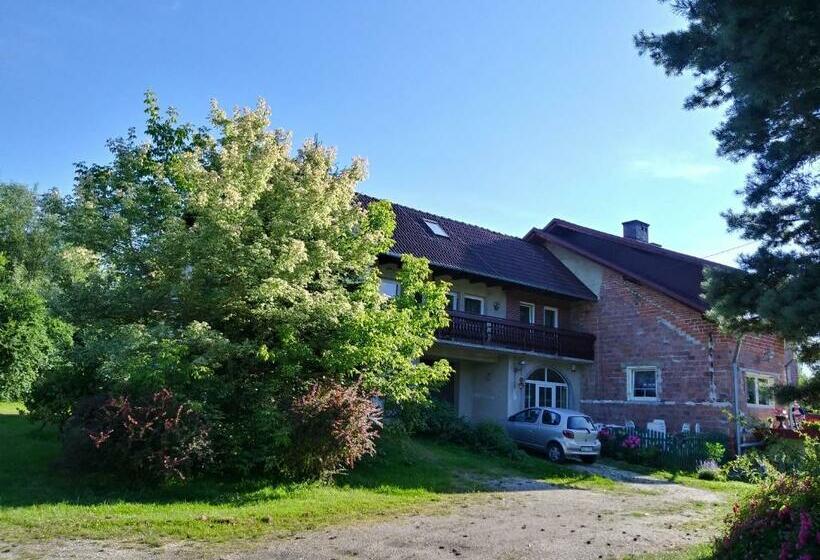 هتل Agroturystyka Nad Cichą