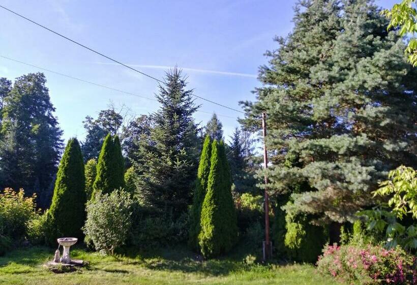 هتل Agroturystyka Nad Cichą