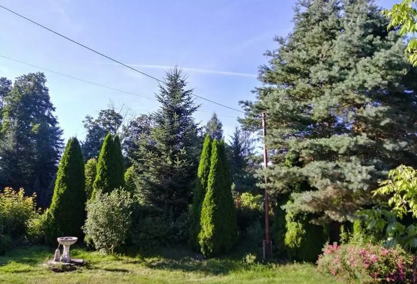 هتل Agroturystyka Nad Cichą