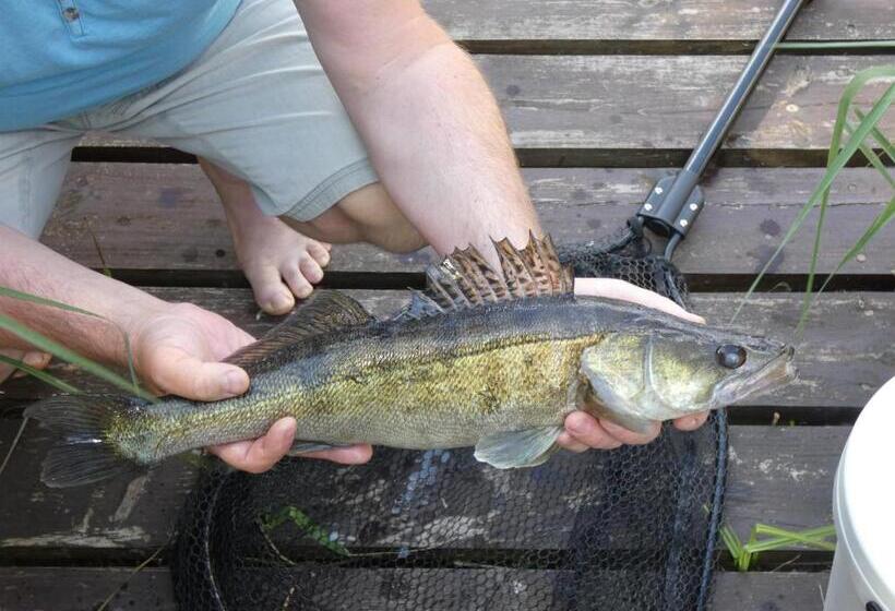 בית מלון כפרי Apartamenty, Domki, Wędkowanie