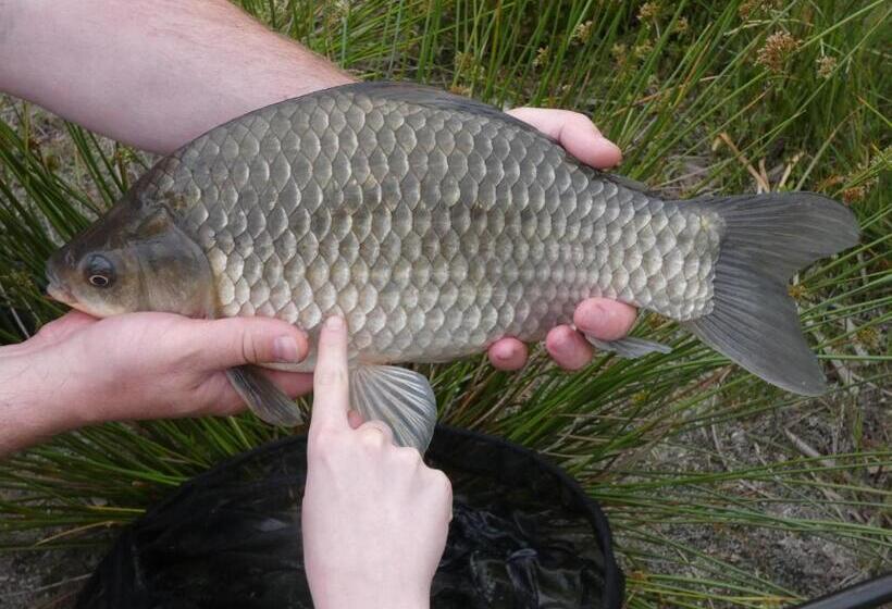 בית מלון כפרי Apartamenty, Domki, Wędkowanie