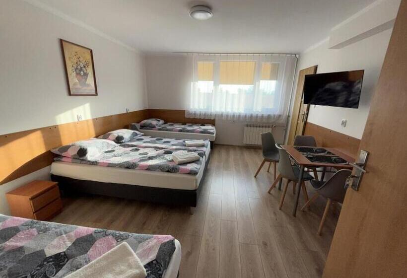 ホテル Dom Turysty Salus