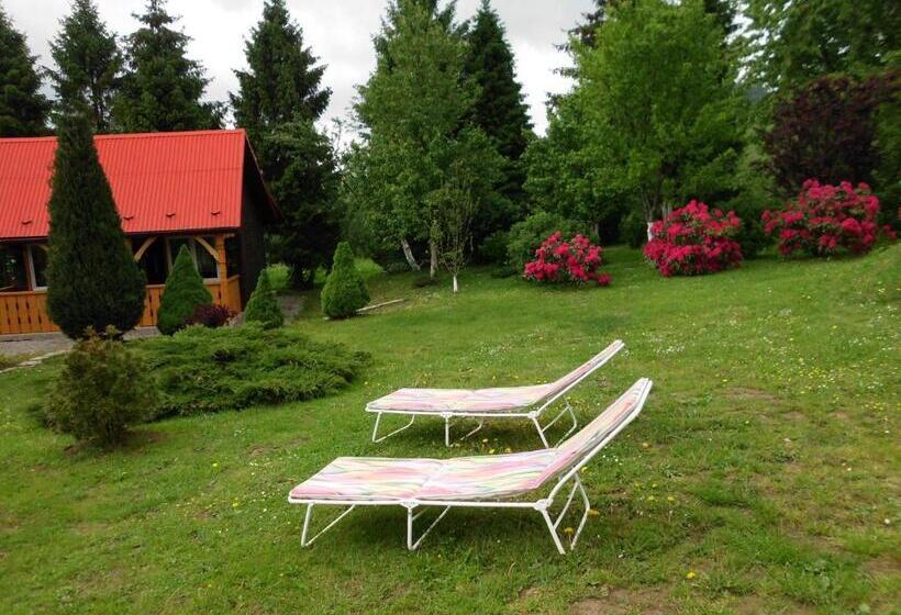 호텔 Domek Pod świerkami