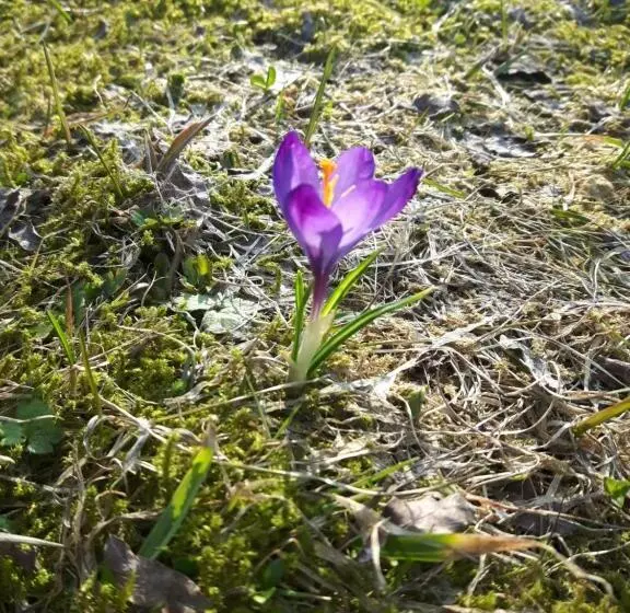 ホテル Na Szlaku