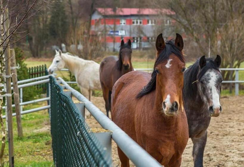 酒店 Ranczo W Dolinie   Bałtów