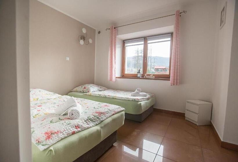 بنسيون Nad Cedronem