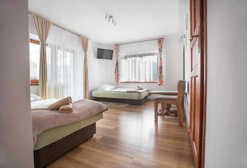 بنسيون Nad Cedronem