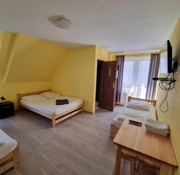 ペンション Willa Gazda