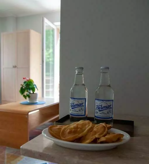 پانسیون Willa Monti