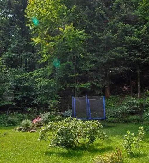 پانسیون Willa Monti