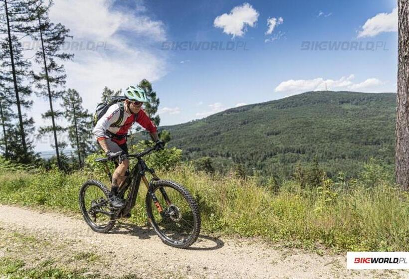 Pensjonat Lesniczówka