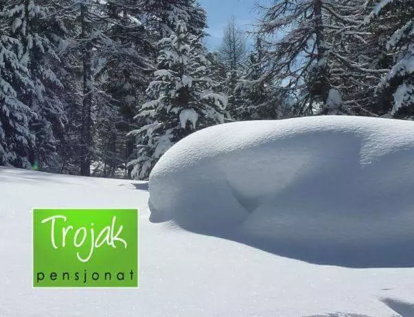 Pensjonat Trojak