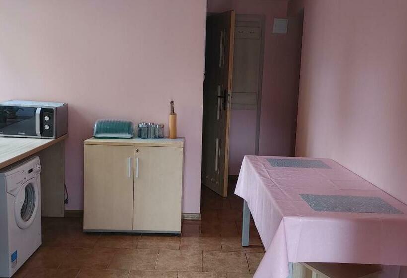 Majatalo Hostel U Misiów