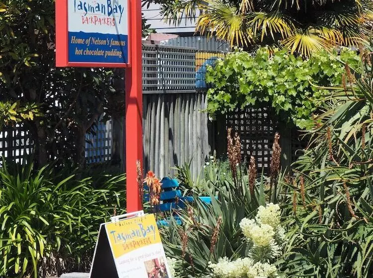 Cămin Tasman Bay Backpackers