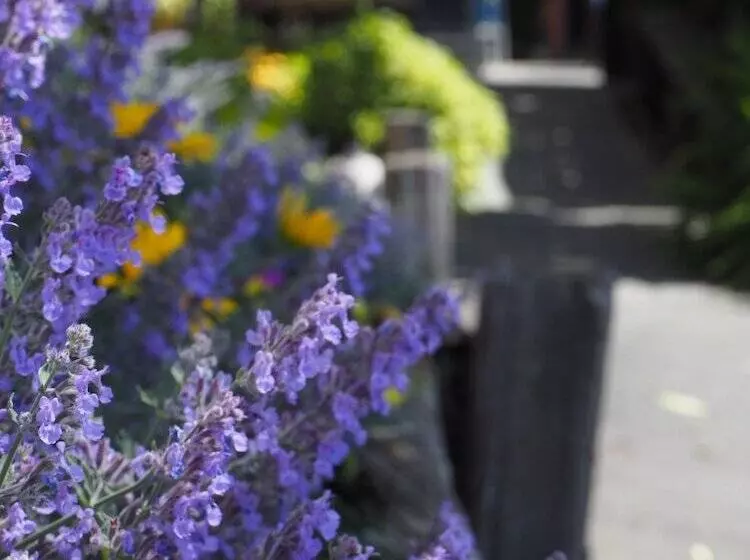 Cămin Tasman Bay Backpackers