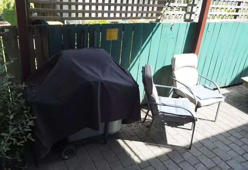 Cămin Tasman Bay Backpackers