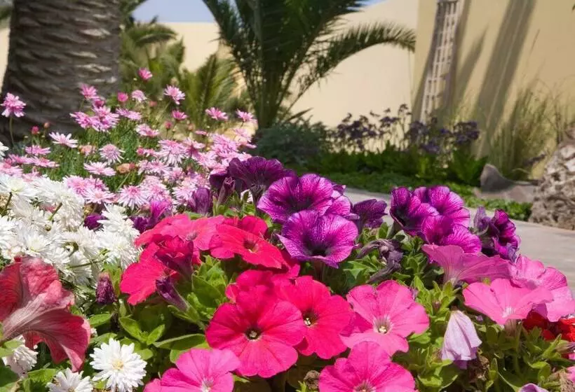 تختخواب و صبحانه Cornerstone Guesthouse