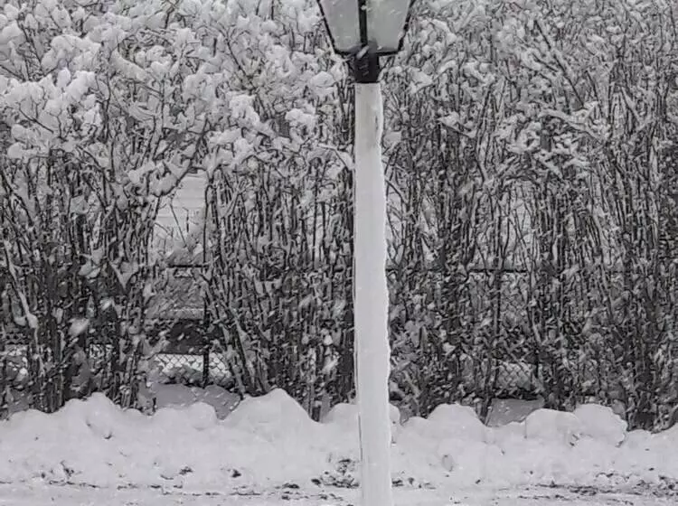 Bed and Breakfast Proctor Mansion Inn