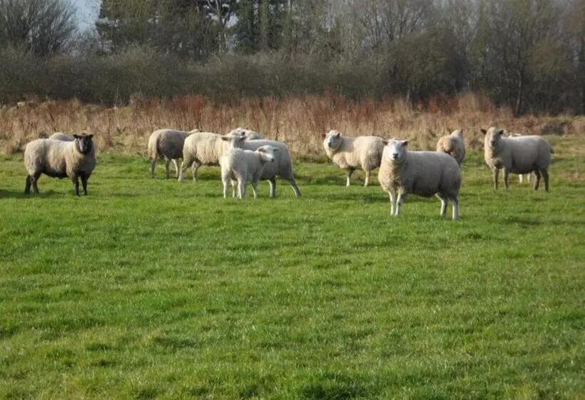 تختخواب و صبحانه The Stables   Deer Park Farm