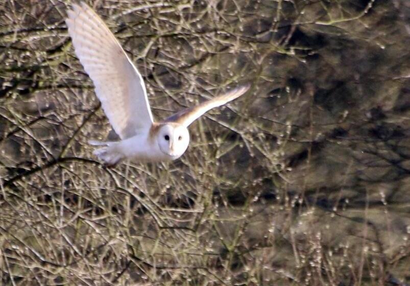 민박 The Stables Deer Park Farm