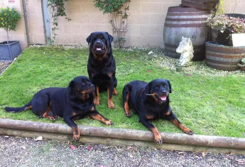 تختخواب و صبحانه The Stables   Deer Park Farm