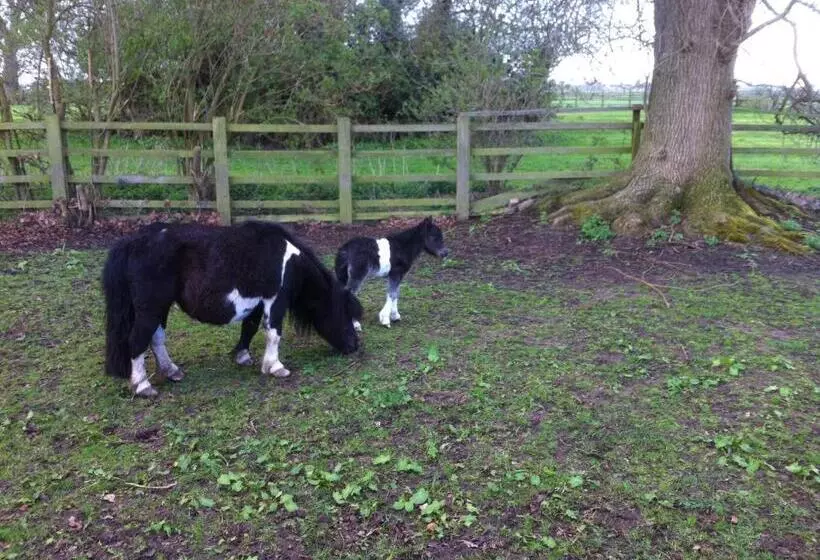 تختخواب و صبحانه The Stables   Deer Park Farm