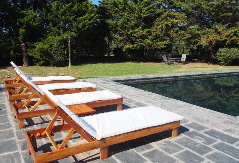 Bed & Breakfast Villa Victoria Lodge