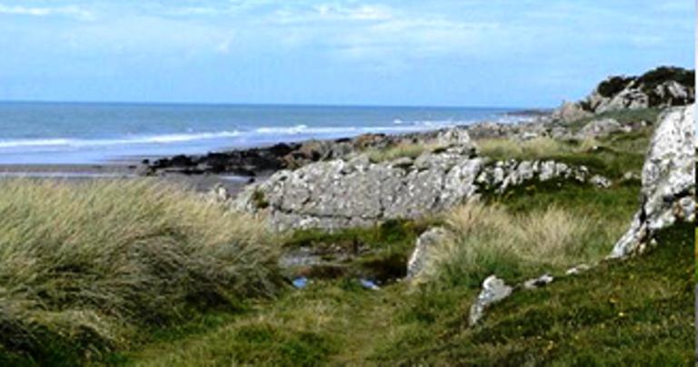 Broadlea Of Robgill Country Cottage & Bed And Breakfast