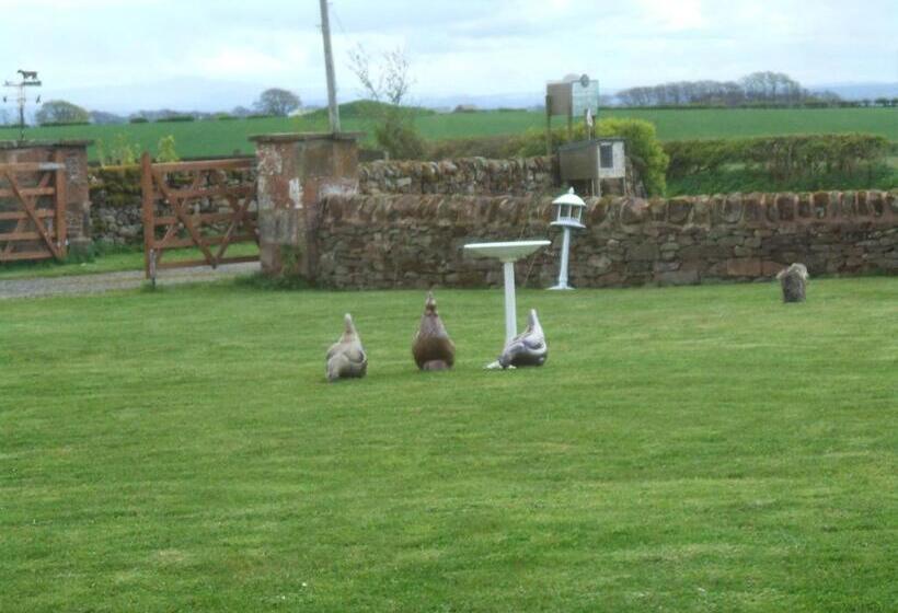 Broadlea Of Robgill Country Cottage & Bed And Breakfast