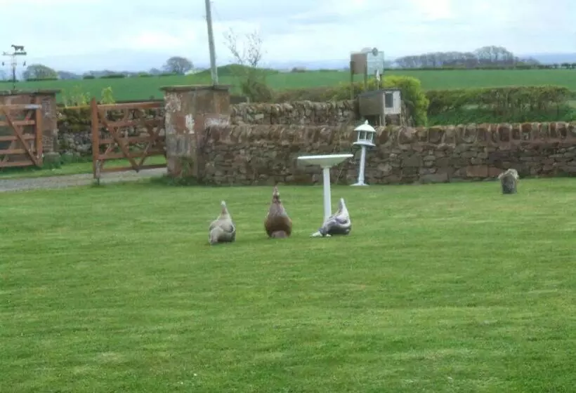 Broadlea Of Robgill Country Cottage & Bed And Breakfast