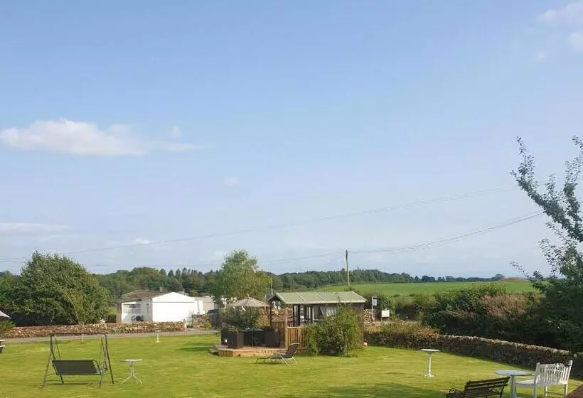 Broadlea Of Robgill Country Cottage & Bed And Breakfast