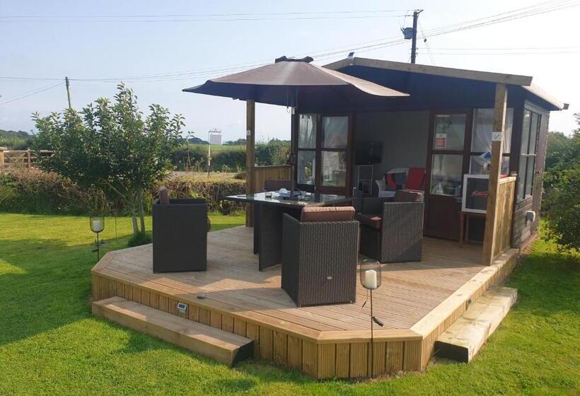 Broadlea Of Robgill Country Cottage & Bed And Breakfast