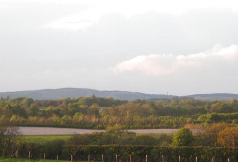 Broadlea Of Robgill Country Cottage & Bed And Breakfast