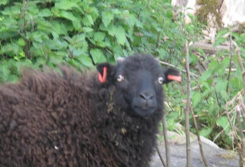 Broadlea Of Robgill Country Cottage & Bed And Breakfast