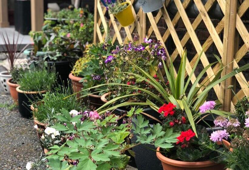 فندق Hendham House