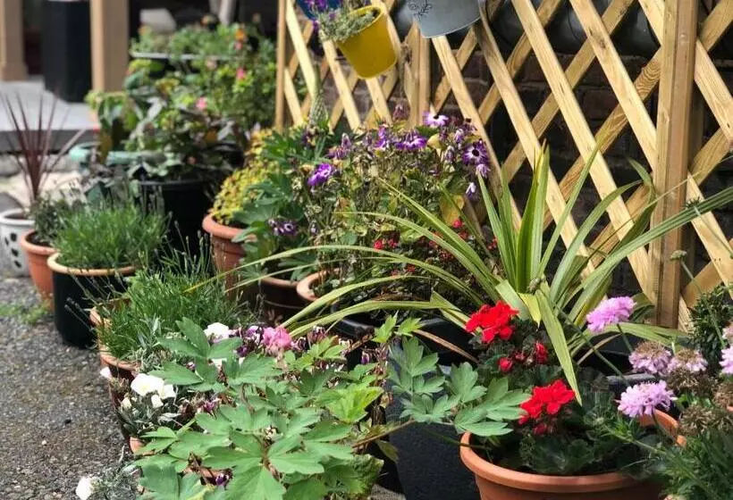 هتل Hendham House