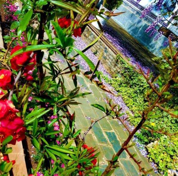 Отель Lijiang Baisha Holiday Resort