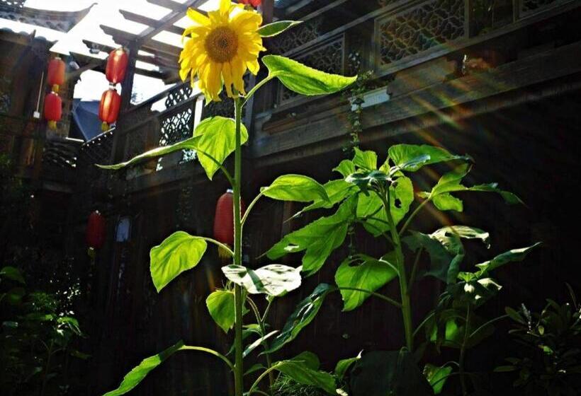 Отель Lijiang Baisha Holiday Resort