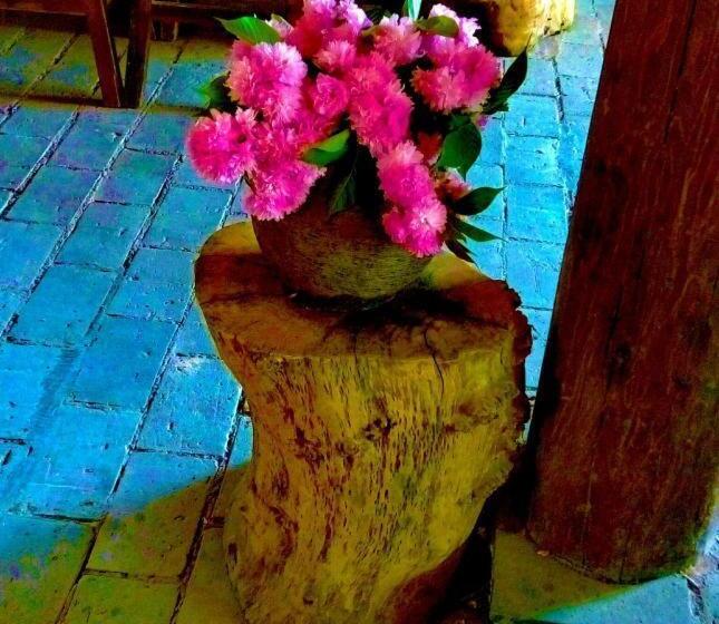 Отель Lijiang Baisha Holiday Resort