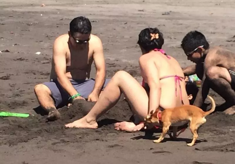 هتل Sabas Beach Resort