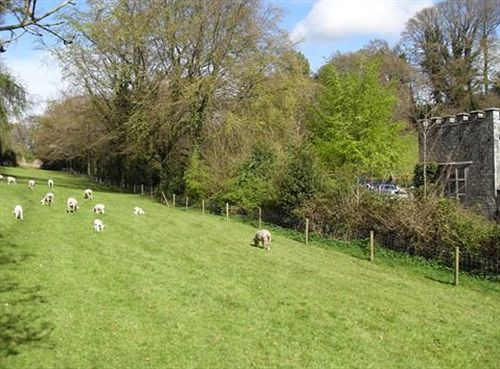 ホテル Spread Eagle Inn