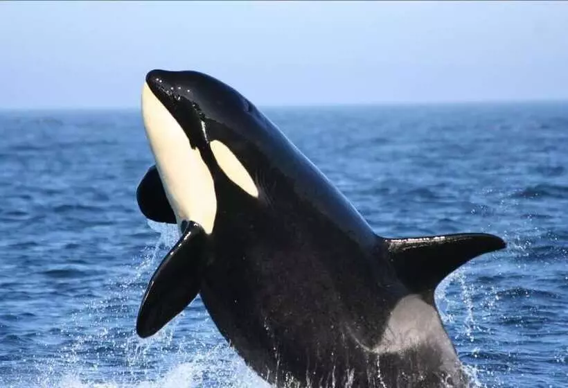 酒店 Swinomish Casino & Lodge