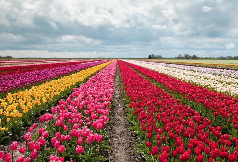 Отель Swinomish Casino & Lodge