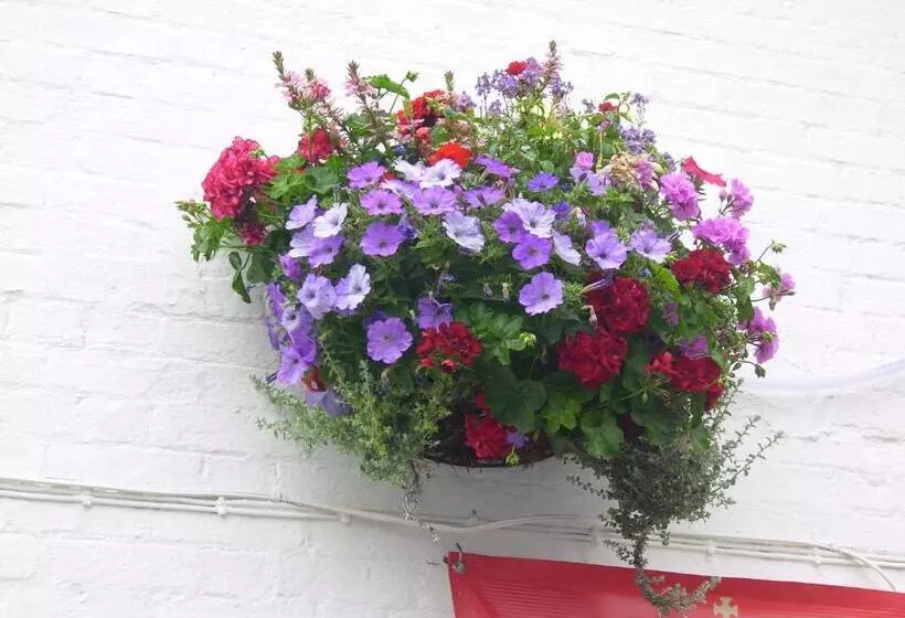 酒店 The Crown Aldbourne