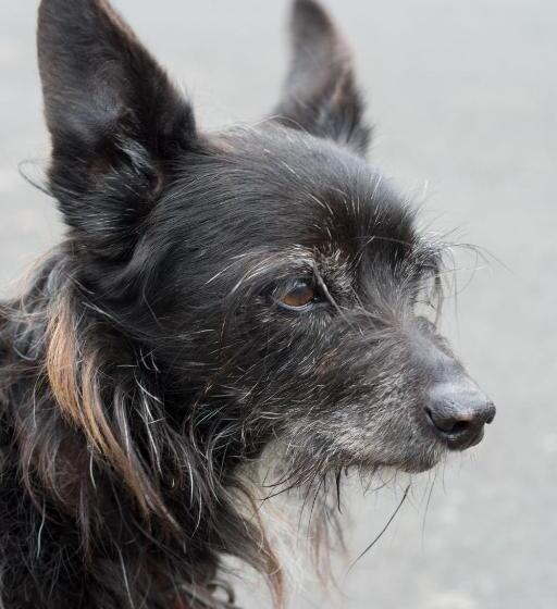 בית מלון כפרי The Crown Aldbourne