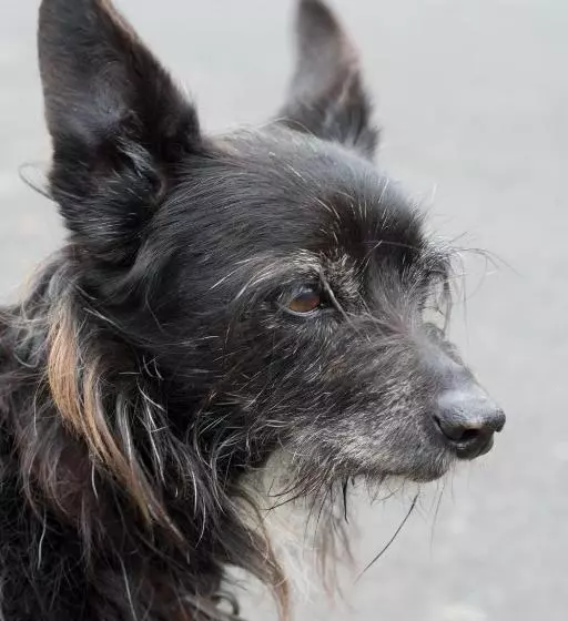 酒店 The Crown Aldbourne