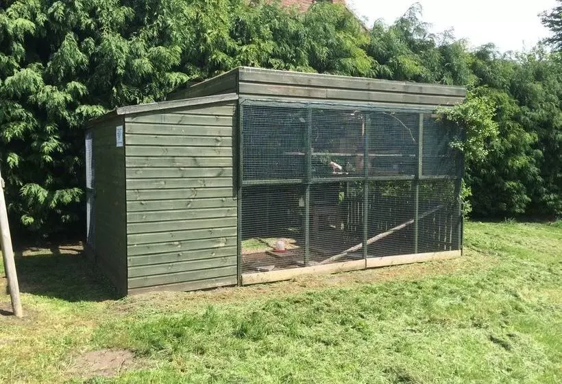 ホテル The Gnu Inn