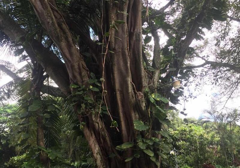 هتل Trapp Family Country Inn